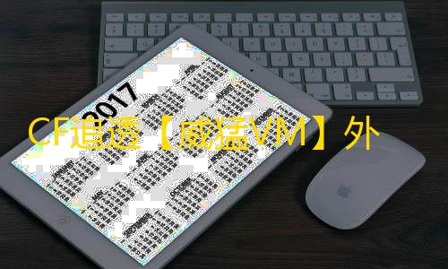 CF追透【威猛VM】外挂